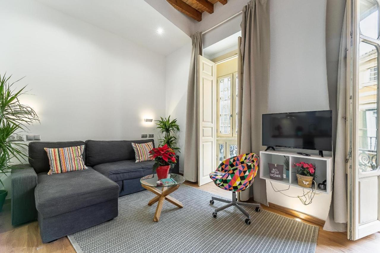 Deluxe Larios Malaga Center Apartment エクステリア 写真